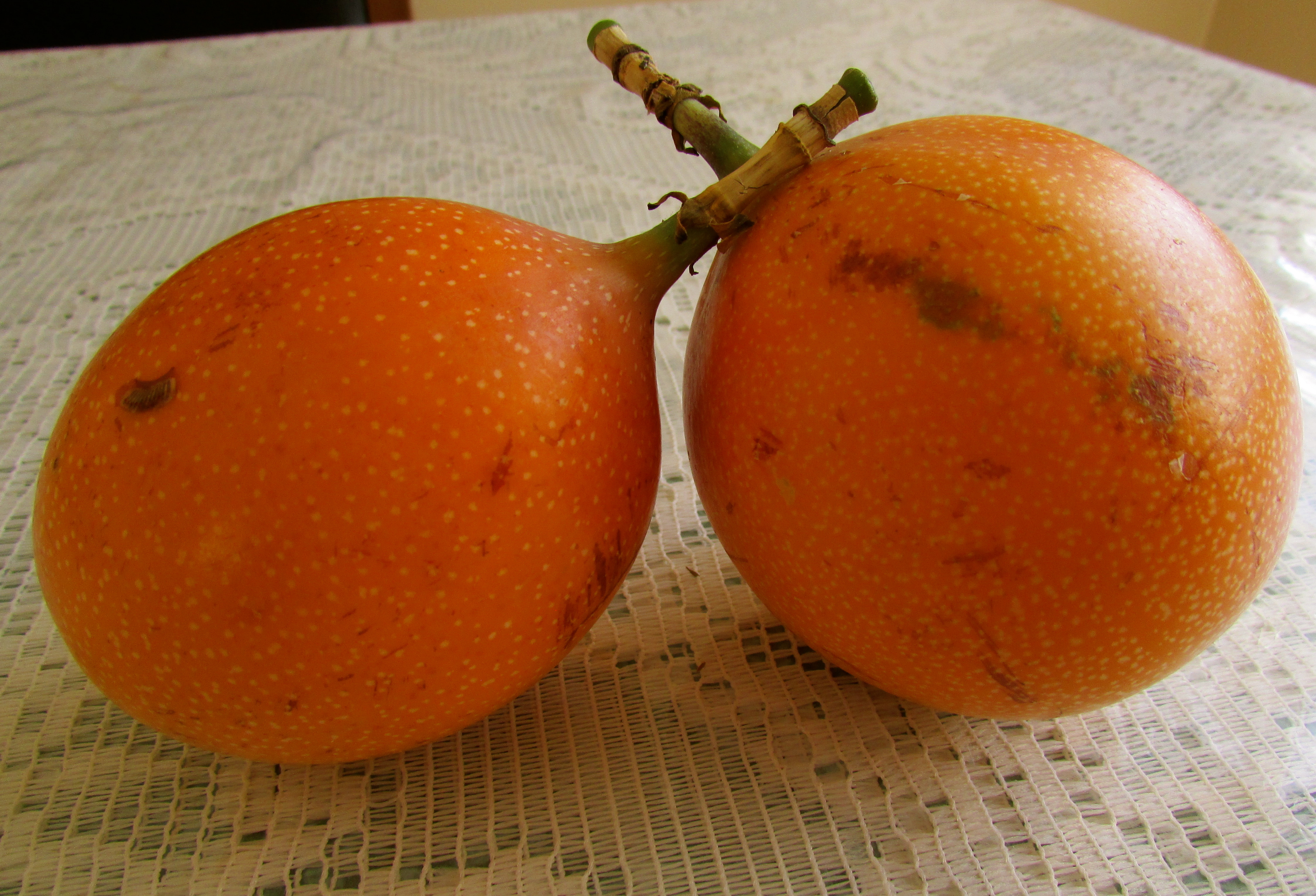Фрукт первая г. Оранжевый фрукт коламбия. Фрукт оранжевый с косточками. Оранжевый экзотический фрукт. Экзотический фрукт желтый овальный.